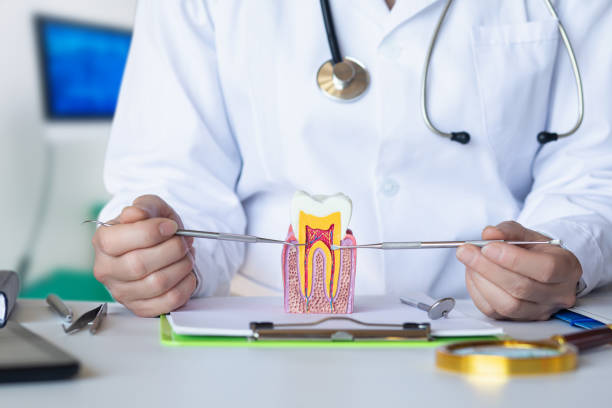 Best Emergency Tooth Extraction in Coshocton, OH
